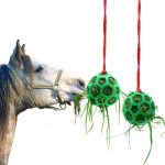 paarden speelgoed