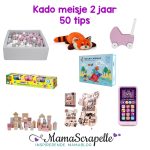speelgoed meisje 2 jaar